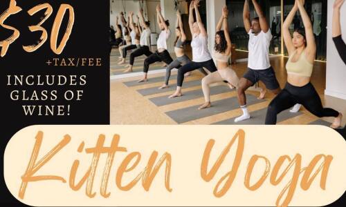 Kitten Yoga $30